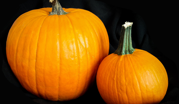 Des activités pour célébrer Halloween malgré la pluie et la neige