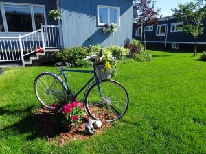 Terrain aménagé avec des fleurs et une bicyclette en avant plan