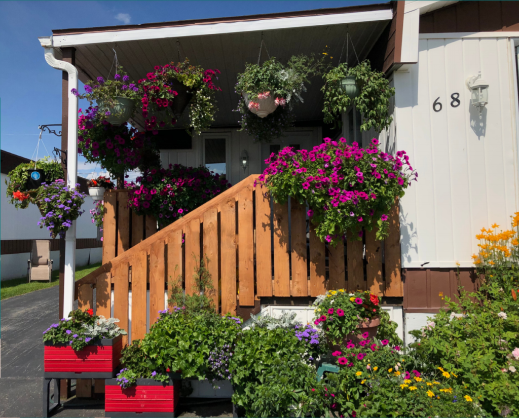 Maison décorée de bacs à fleurs