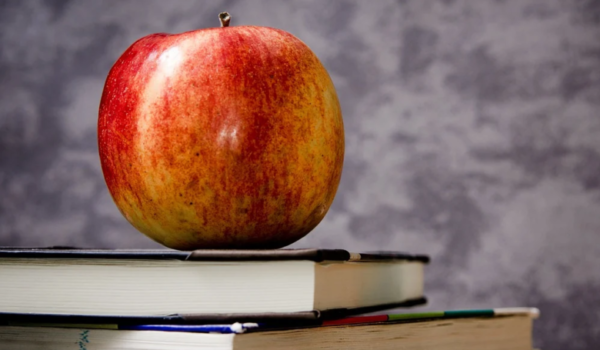 Journée mondiale des enseignantes et des enseignants ce 5 octobre