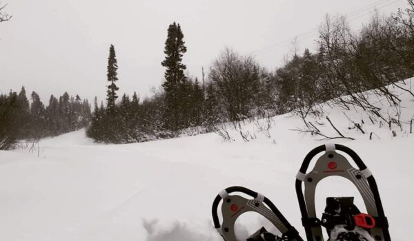 Tempête hivernale sur la Côte-Nord pouvant ralentir la ciculation