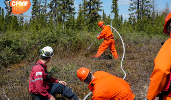 Entraînement en forêt pour les pompiers de la caserne 12